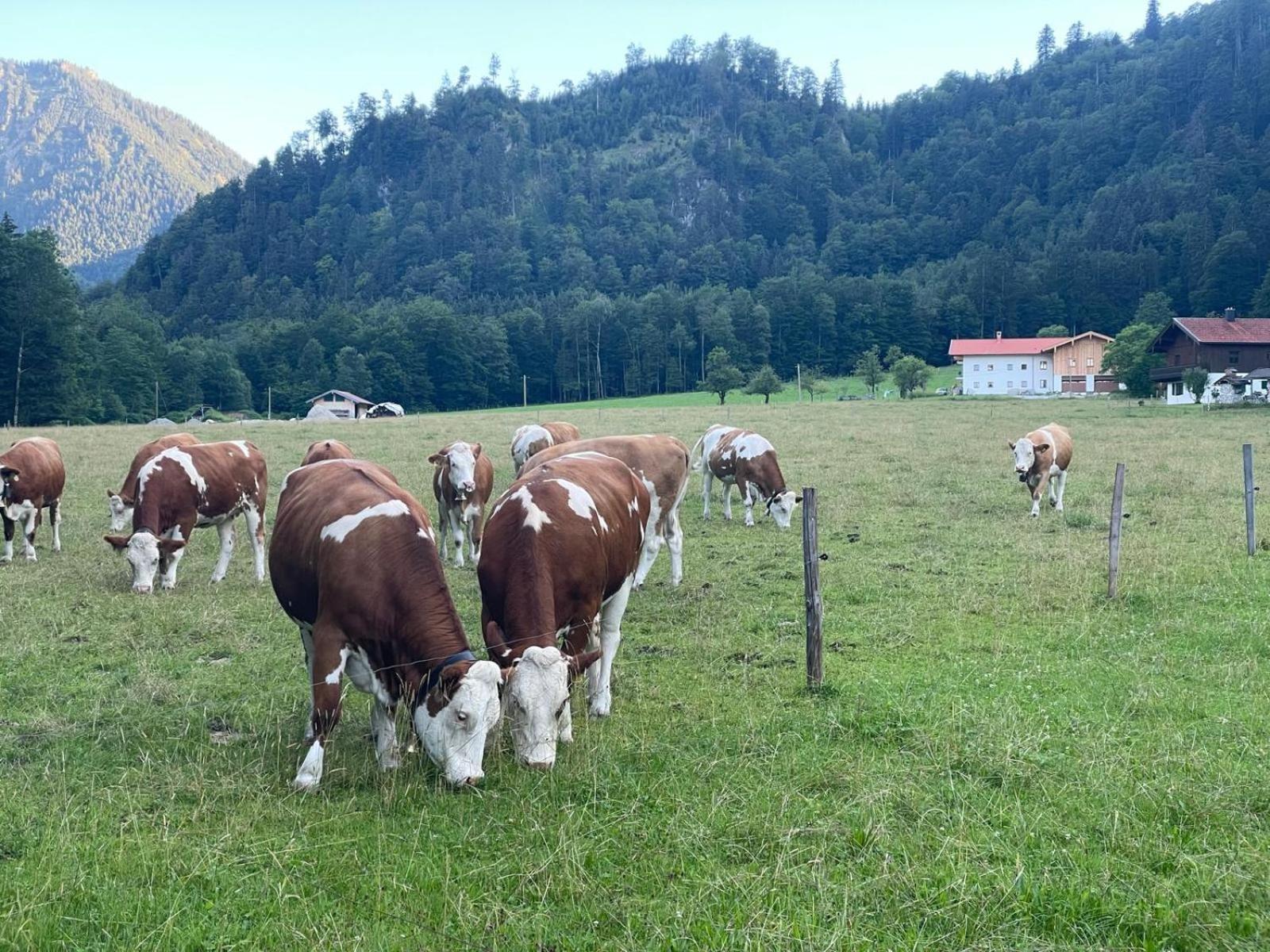 Ferienwohnungen Bergluft Aschau im Chiemgau Exteriör bild